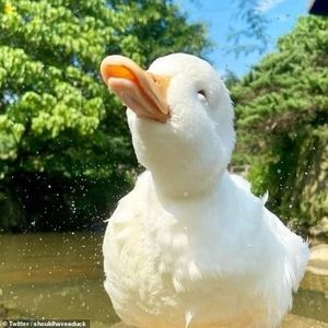 Meet your Posher, Sue